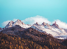 星空体育官方网站——开启您的极致体育体验