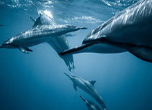 星空体育官方网站——开启您的极致体育体验